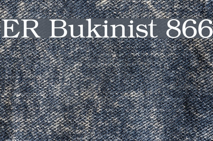 ER Bukinist 866 Font examples