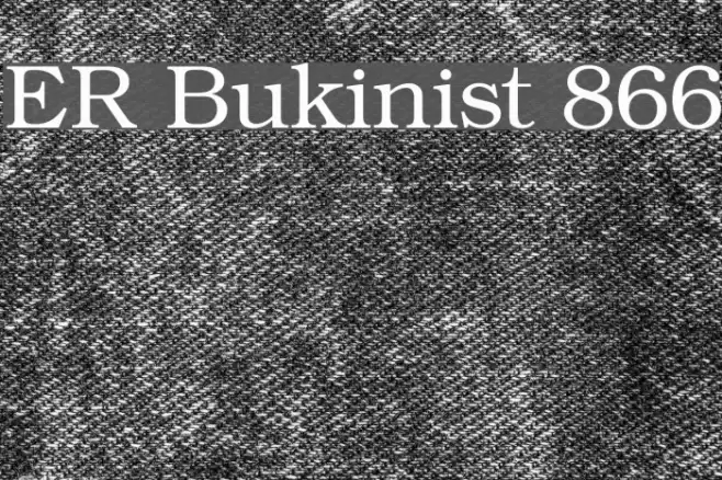 ER Bukinist 866 Schriftart examples
