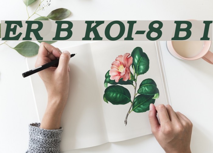 ER Bukinist KOI-8 Bold Italic Font examples