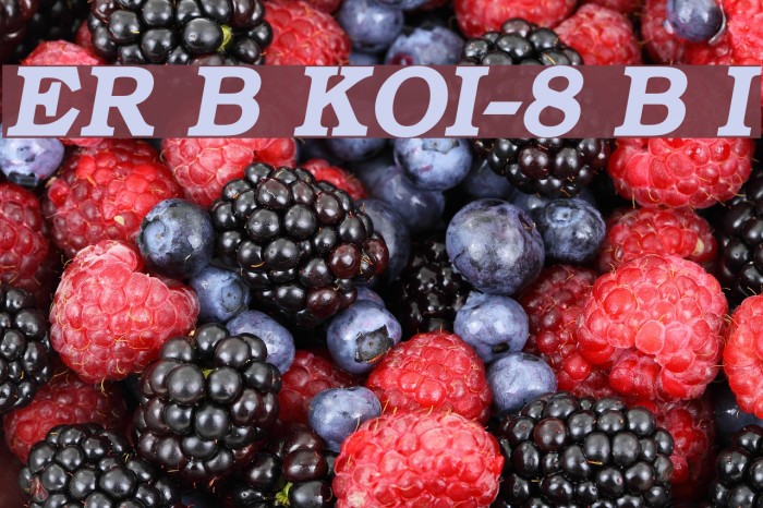 ER Bukinist KOI-8 Bold Italic Font examples