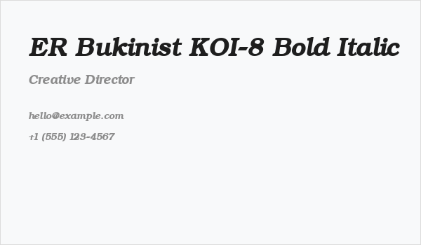 ER Bukinist KOI-8 Bold Italic Business Card