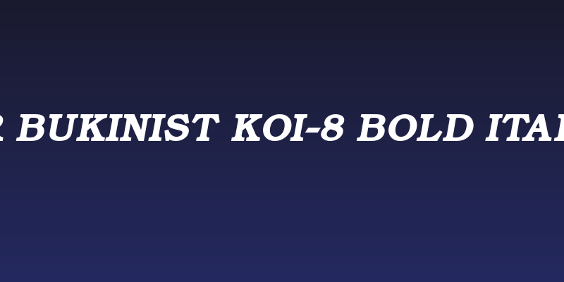ER Bukinist KOI-8 Bold Italic Social Header