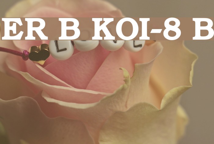 ER Bukinist KOI-8 Bold Font examples