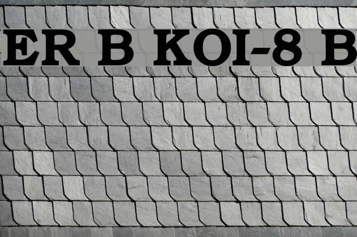 ER Bukinist KOI-8 Bold Font examples
