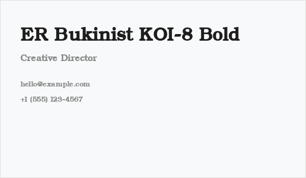 ER Bukinist KOI-8 Bold Business Card