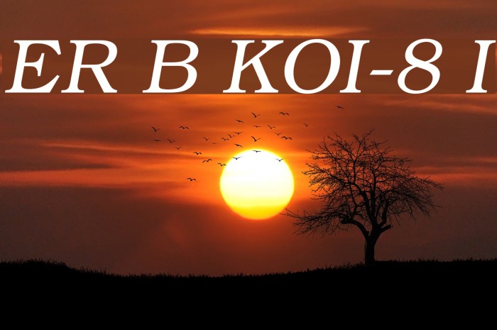 ER Bukinist KOI-8 Italic Font examples