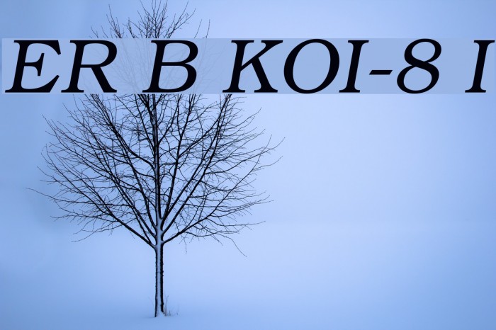 ER Bukinist KOI-8 Italic Font examples