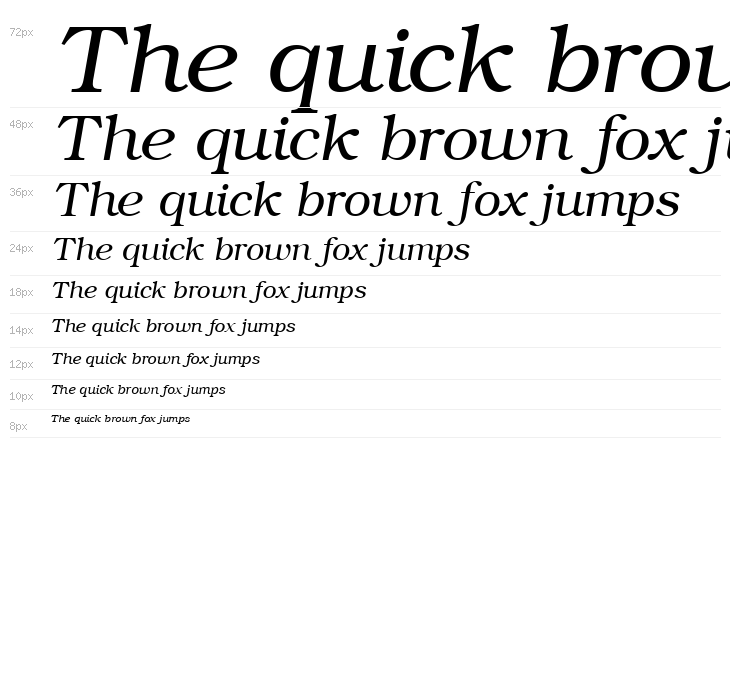 ER Bukinist KOI-8 Italic Waterfall