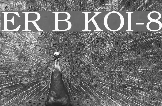 ER Bukinist KOI-8 Example 1