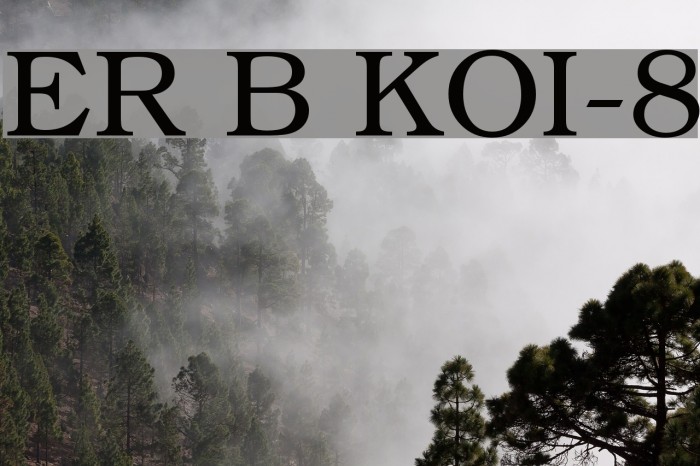 ER Bukinist KOI-8 Font examples