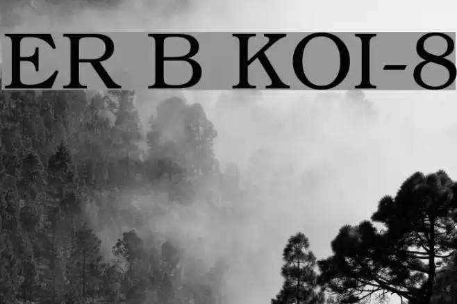 ER Bukinist KOI-8 Example 3