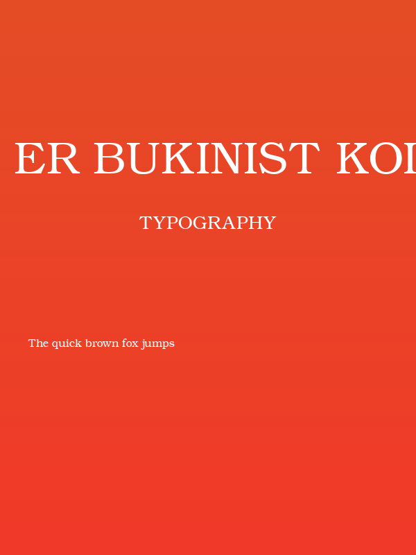 ER Bukinist KOI-8 Poster