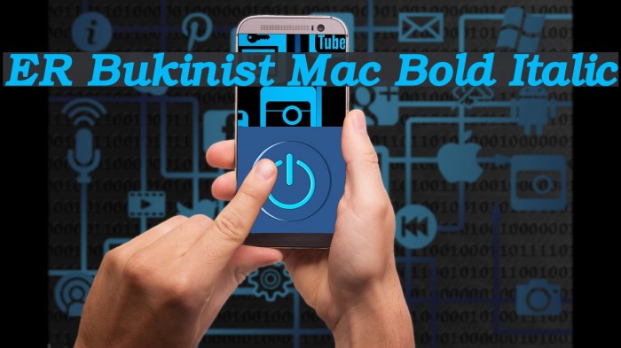 ER Bukinist Mac Bold Italic Font examples