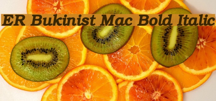 ER Bukinist Mac Bold Italic Font examples