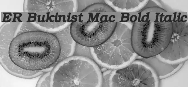 ER Bukinist Mac Bold Italic Example 3