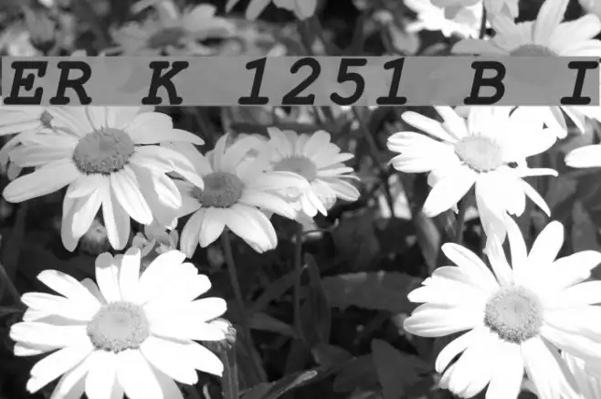 ER Kurier 1251 Bold Italic Example 1