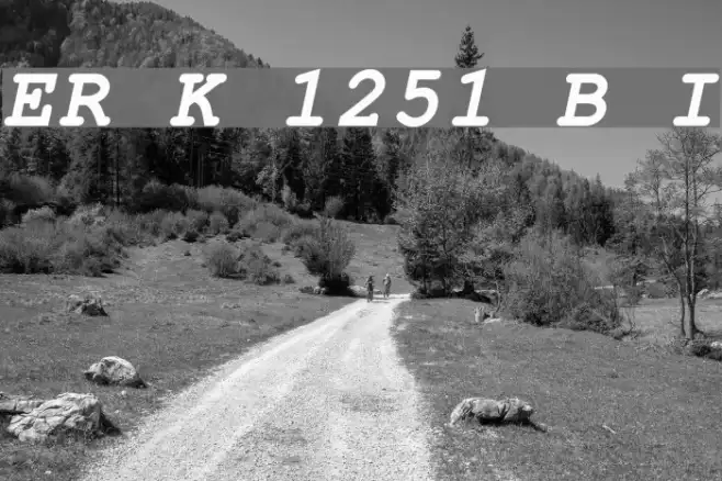 ER Kurier 1251 Bold Italic Example 3