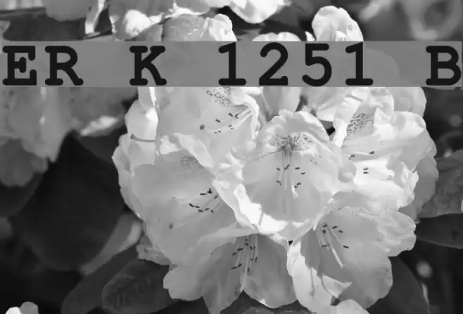 ER Kurier 1251 Bold Font examples