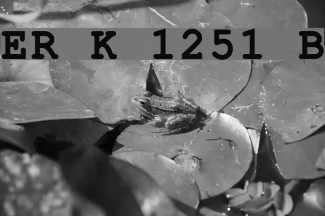 ER Kurier 1251 Bold Font examples