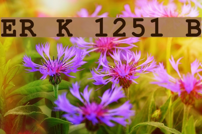 ER Kurier 1251 Bold Fuentes examples
