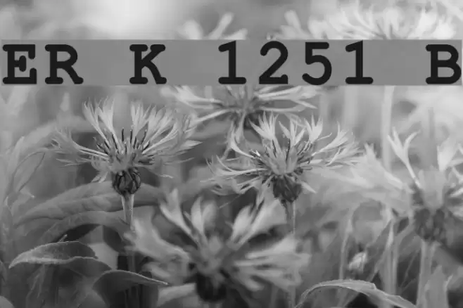 ER Kurier 1251 Bold Font examples