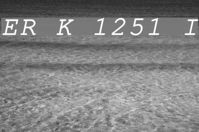 ER Kurier 1251 Italic Font examples