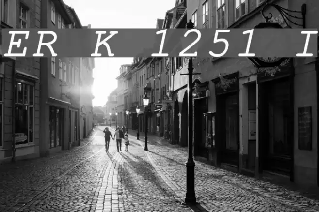 ER Kurier 1251 Italic Font examples