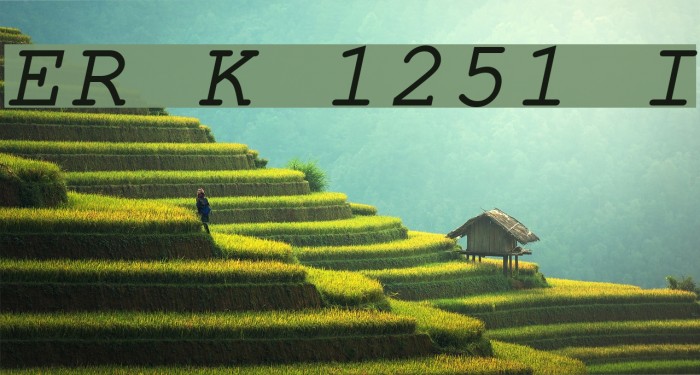 ER Kurier 1251 Italic Font examples