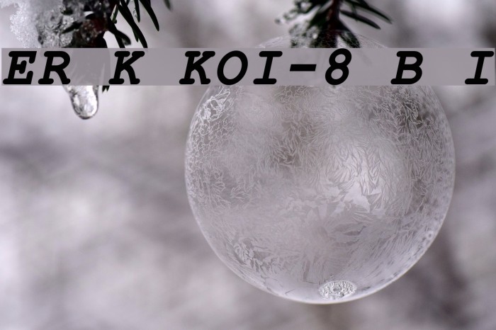 ER Kurier KOI-8 Bold Italic Font examples