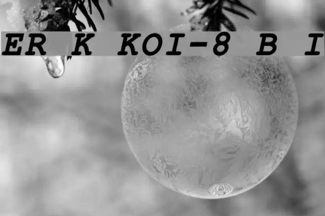 ER Kurier KOI-8 Bold Italic Font examples