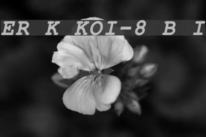 ER Kurier KOI-8 Bold Italic Font examples