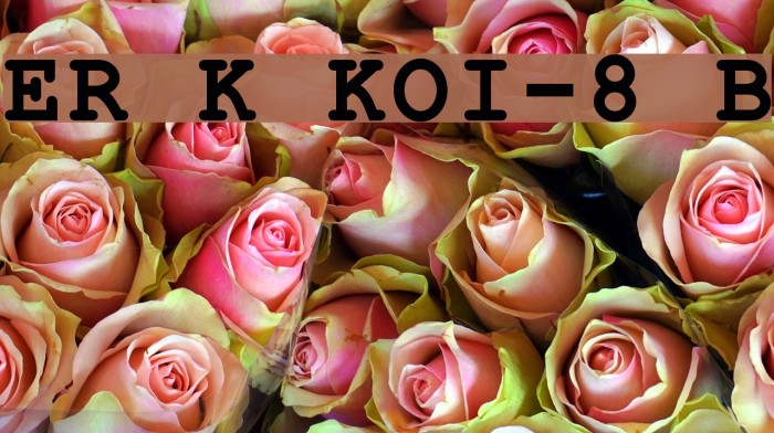 ER Kurier KOI-8 Bold Font examples