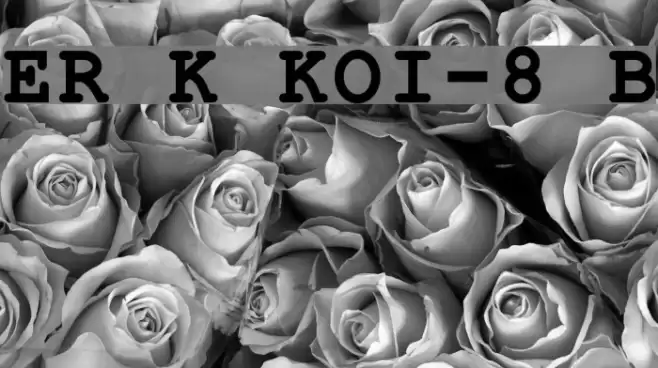 ER Kurier KOI-8 Bold Font examples