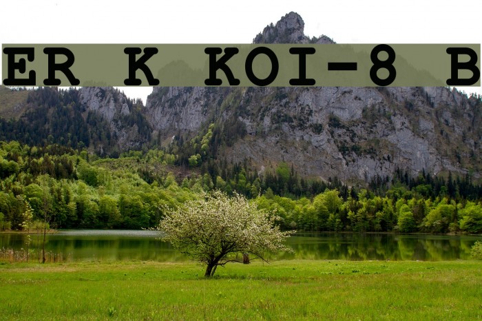 ER Kurier KOI-8 Bold Font examples