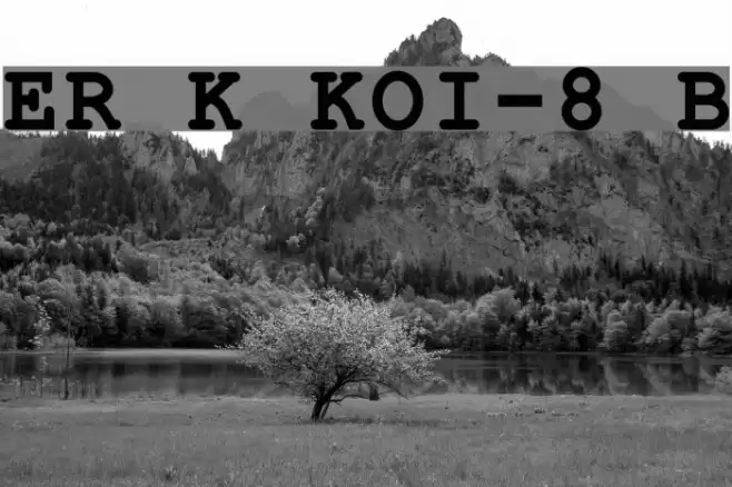 ER Kurier KOI-8 Bold Font examples