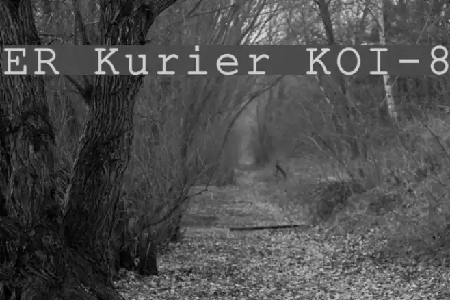 ER Kurier KOI-8 Font examples