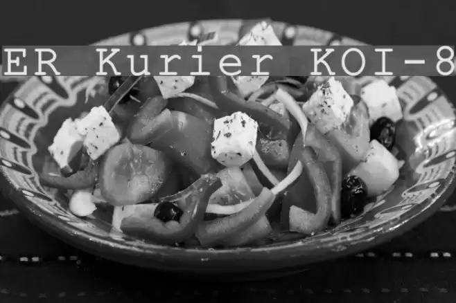 ER Kurier KOI-8 Font examples
