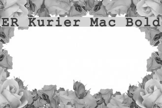 ER Kurier Mac Bold Font examples