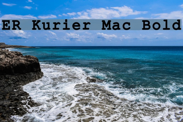 ER Kurier Mac Bold Font examples