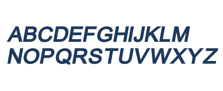 ER Univers 1251 Bold Italic Uppercase