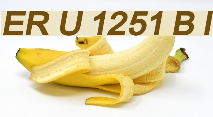 ER Univers 1251 Bold Italic Example 2