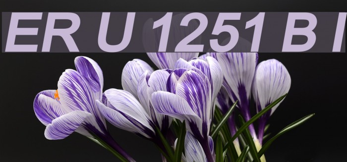 ER Univers 1251 Bold Italic Example 3