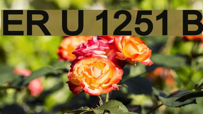 ER Univers 1251 Bold Example 2