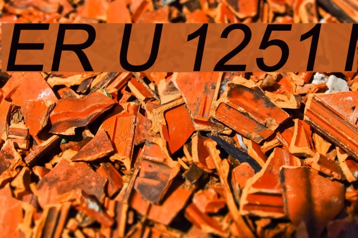 ER Univers 1251 Italic Example 2