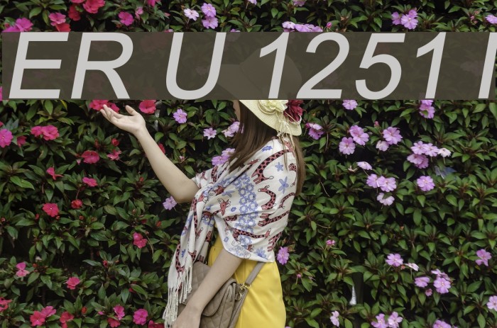 ER Univers 1251 Italic Example 3