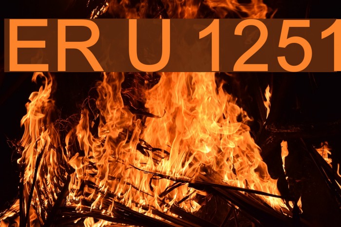 ER Univers 1251 Example 2