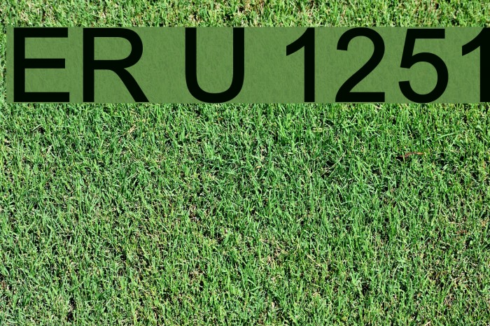 ER Univers 1251 Example 3