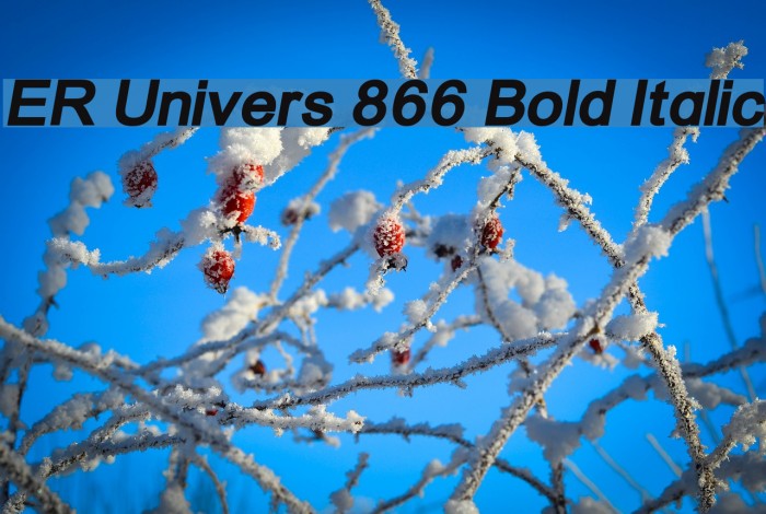 ER Univers 866 Bold Italic Example 2
