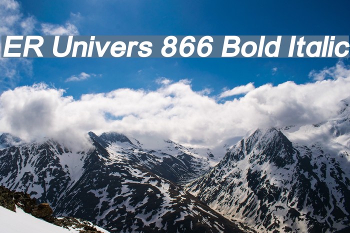 ER Univers 866 Bold Italic Example 3