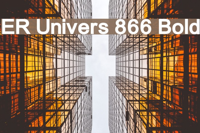 ER Univers 866 Bold Example 1